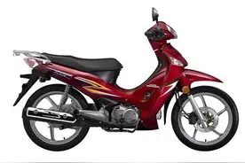 牛摩榜：2015年十大最受关注弯梁车图片