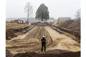 现代鲁智深，国外牛逼的拔树机图片