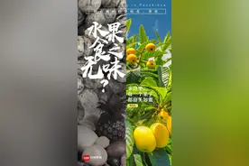 暖暖的攀枝花邀你来过年 送出3万元景区酒店代金券图片