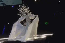 奚梦瑶维密台上不慎摔倒 事后发微博道歉图片