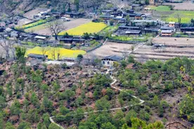 2月12日起金三角码头停运 开车去桃花岛怎么走？图片