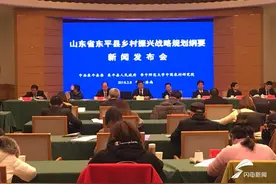 东平县发布山东首份县级乡村振兴战略规划纲要图片