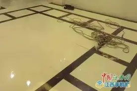 泪目！住户被困电梯 南昌这位女保安为救人坠亡图片