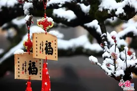 瑞雪压枝腊梅问春 千年古刹踏雪寻梅图片