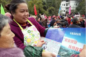 四川南充市“春风行动”点亮就业创业路图片