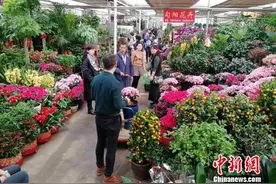 春节临近年味渐浓 西安民众花市购“浪漫年货”图片