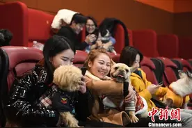 电影《小狗奶瓶》温情延续 市民带萌宠走进杭州影院图片