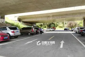 扩散｜春节期间 义乌全市公共停车位免费停！图片