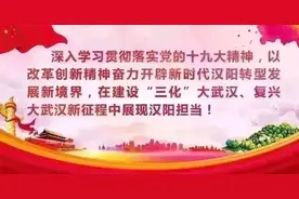 汉阳打响中学校友资智回汉第一枪图片