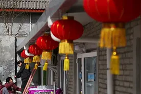 一个动物救助者的狗年愿望：领养代替购买，让流浪狗生有所养图片
