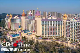 全球大型熊猫三胞胎动漫亲子酒店在广州落成开门迎客图片