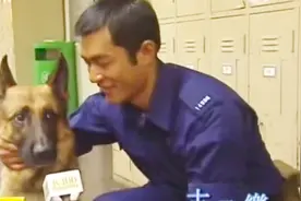 帅气阿sir古天乐和郑秀文拍摄《宠物情缘》认识了小伙伴警犬视频封面