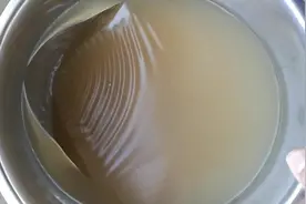 胶东沿海特色小吃“海菜冻”视频封面