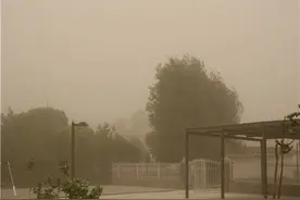 新疆铁干里克遭遇大风沙尘天气图片