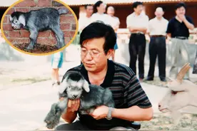 克隆羊“阳阳”五代同堂 走完十六春秋图片