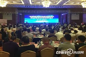 安康重点合作项目签约仪式举行 总投资166余亿元图片