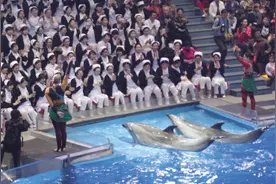 老虎滩“微笑天使”白鲸为“白衣天使”献吻图片