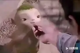 原来可爱的胡巴是这样拍出来的》》》》》