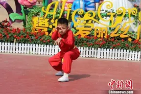 广东佛山耍非遗“狗拳”闹新春图片