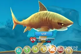 饥饿鲨世界虎鲨介绍 造型最酷XL型号鲨鱼图片