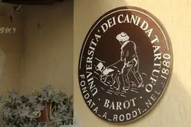 狗年探狗｜意大利松露猎狗大学 培养挖掘“餐桌黄金”的“小助手”