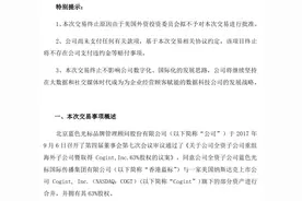 海外收购遇美国监管层拦路，蓝色光标买美股上市公司生意告吹图片