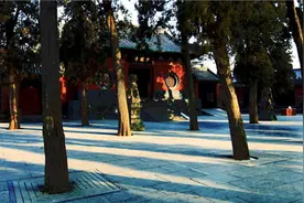 郑少高速全免费！这个春天，来嵩山少林一圆功夫梦！图片