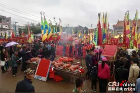 【新春走基层】民俗盛会——硇洲大游神图片