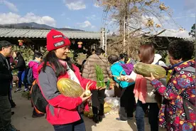 富民县2018年春节黄金周乡村旅游持续火爆图片
