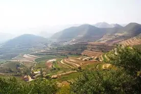 「返乡记」甘肃庆阳：彩礼钱可以全款买套房了图片