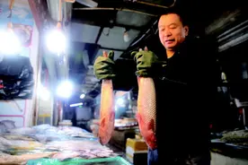 海鲜市场梭鱼等供应充足 成市民买鲜鱼的首选图片