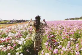 天呐！3月，天津飞这些地方的机票堪比白菜价！图片