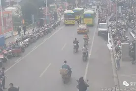 市区53辆电动车被拖走，请不要步他们后尘图片