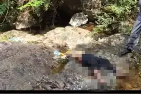 北山失联老太太后续 山沟中发现老人尸体 疑遭动物袭击图片