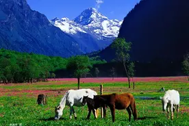 成都妹儿看过来！明天有份专属于你的限时福利待领取~图片