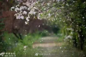 最陕西｜新家入住要领天然气卡 必须掏378元买天然气报警器图片