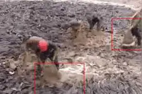 农民抽水时意外抽出大鱼 把水塘抽干竟发现这个秘密图片