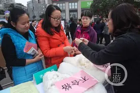 棉絮越白越好？ 专家教你三招鉴别“黑心棉”图片