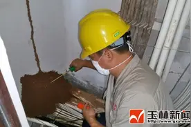 白蚁分飞繁殖高发期到来 防治白蚁刻不容缓图片