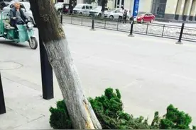 轿车超车后 一会急停一会慢行“别”公交车 最终惹怒公交车司机图片