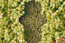 盘点极具创意的卫生巾广告！它竟关系到你的生命！图片