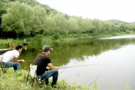夏季巧钓鲢鳙鱼，让你鱼获更轻松！图片