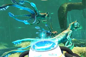 深海迷航78孵化酶完成，小海皇破壳而出 小鸢解说