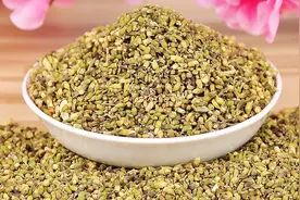 什么是槐米，它的功效与作用有哪些呢？