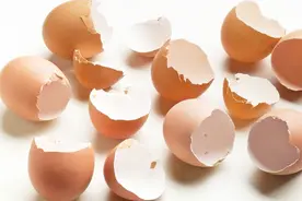 吃过的鸡蛋壳不要丢了，火烧一下没想到还有这两个作用，真实用视频封面