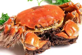 孕妇吃螃蟹要注意，这些东西一定不要和螃蟹一起吃！