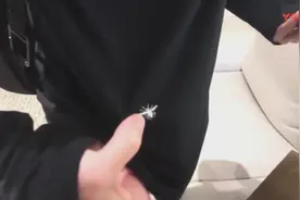 帝师：我衣服上这个小蜜蜂，就是迪奥经典的标！视频封面