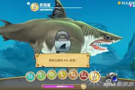 饥饿鲨世界巨齿鲨实力分析 可吞万物的鲨鱼图片