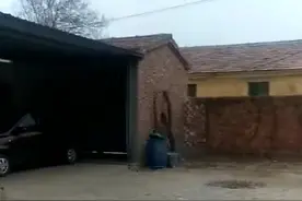 狗咬烟花，真是不怕死啊！真刺激。视频封面