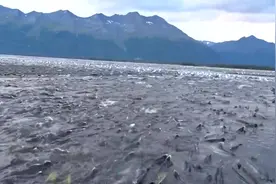 钓鱼，阿拉斯加七月八月洄游的鲑鱼